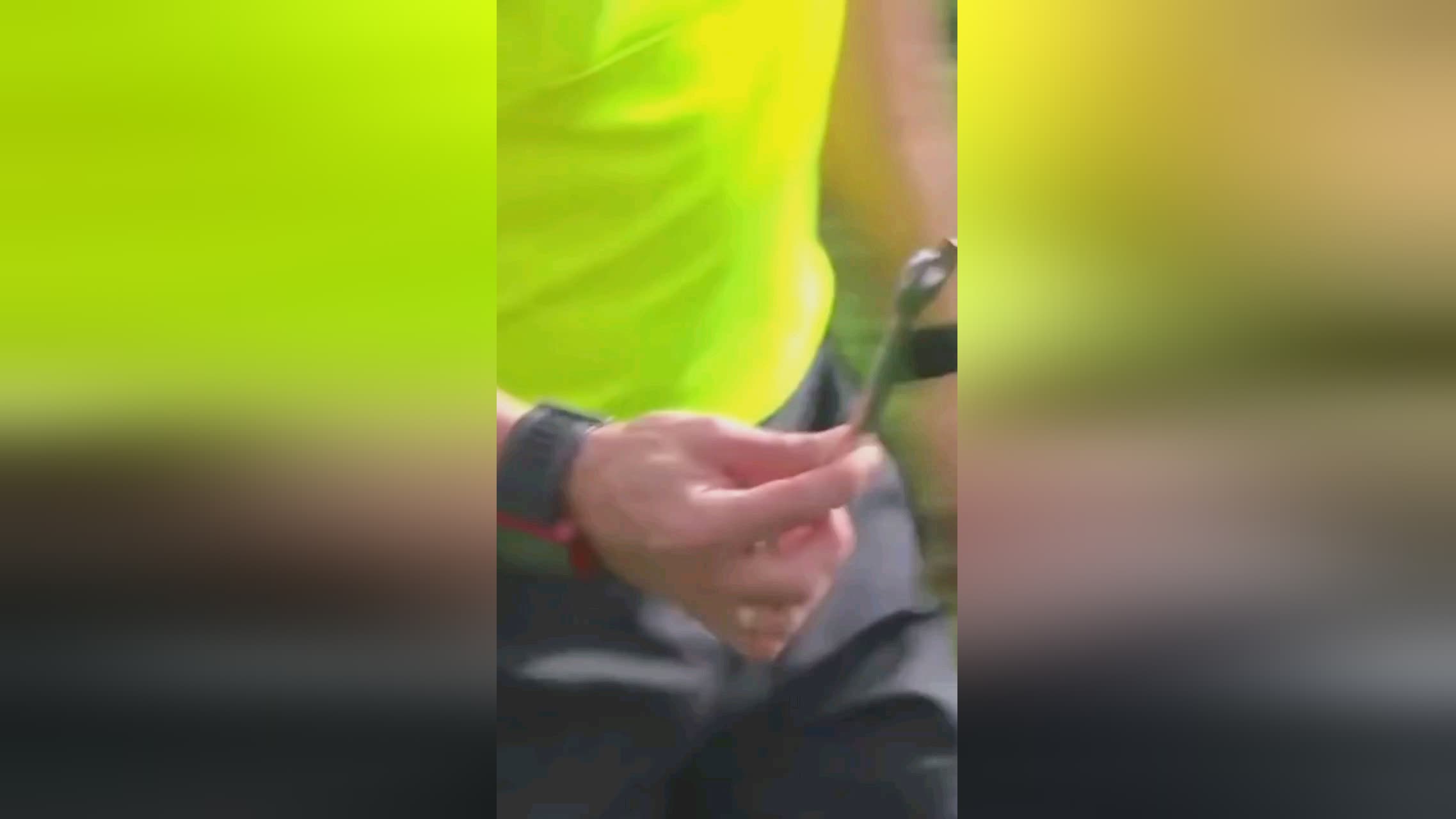 来了新的看